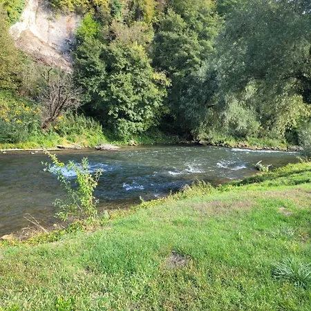 Lucica * Jajce
