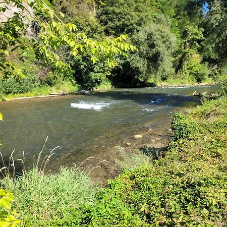Lucica Jajce